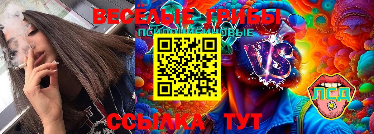 Псилоцибиновые грибы GOLDEN TEACHER  Галлюциногенные грибы GOLDEN TEACHER  Железногорск  Вход с VPN 